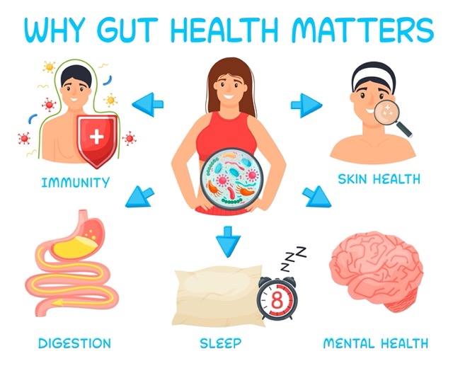 Why gut health matters.