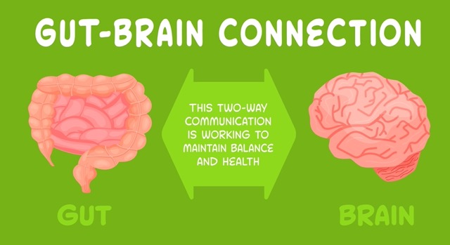 Gut-Brain Connection