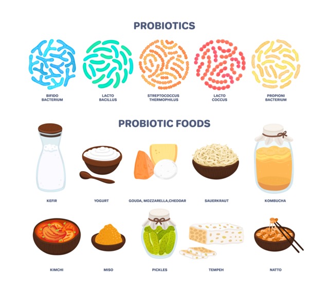 Vector probiotic foods. Best sources of probiotics. Beneficial bacteria improve health. Isolated elements is for label, brochure, menu, advertising, article about diets, healthy and proper nutrition