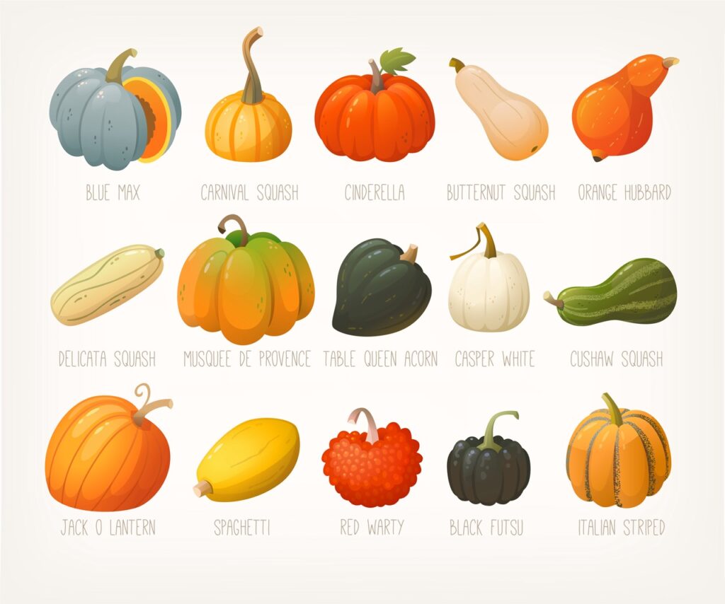 Different Types of Pumpkins
