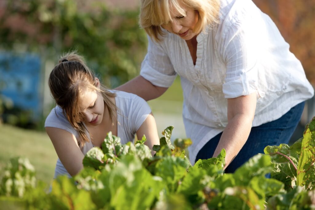Photo of a mother and teenage daughter picking vegetables in their garden for healthy eating.