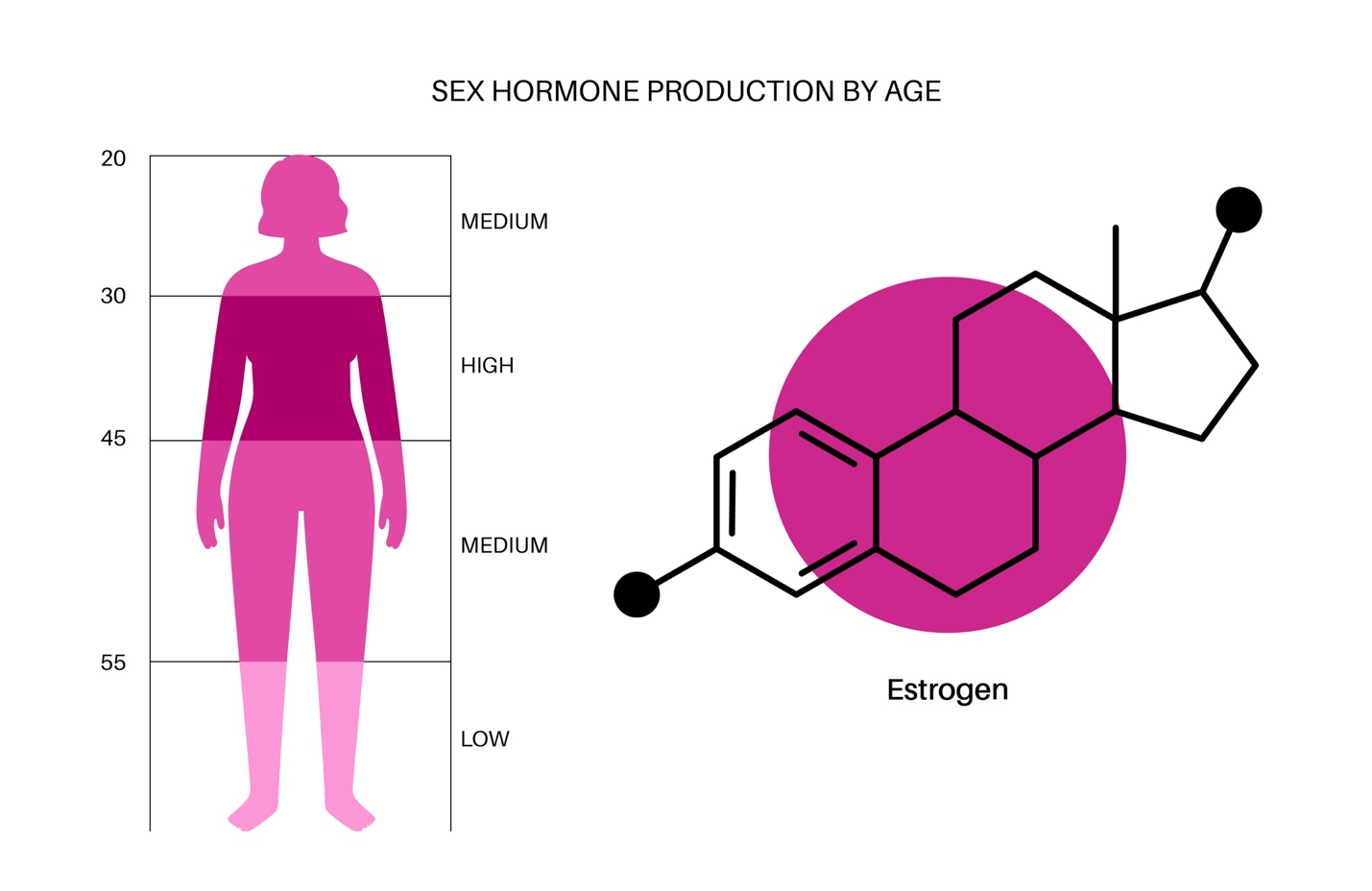 A diagram of a person's body and sex hormone production by age.